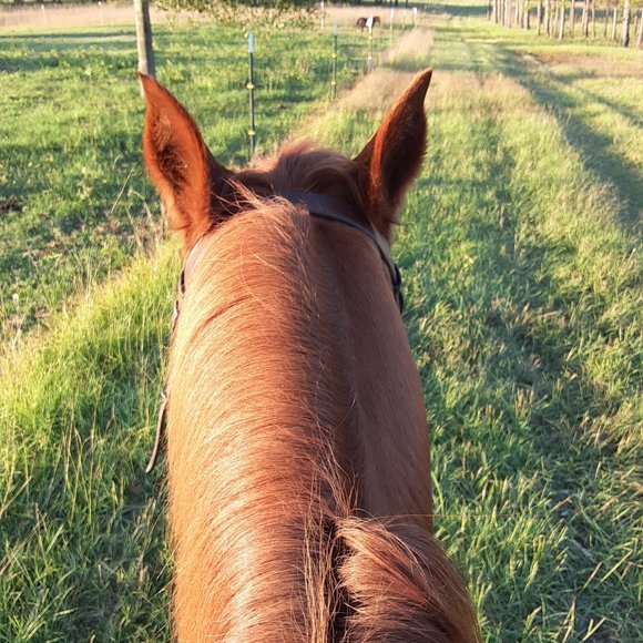 Meet your Posher, K - Picture 2 of 2